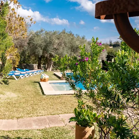 Perdiu Vell Petit By Sealand Pollenca