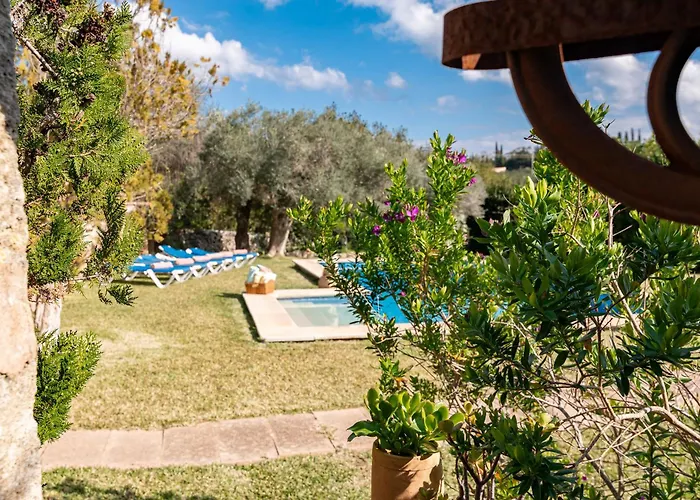 Perdiu Vell Petit By Sealand Pollenca